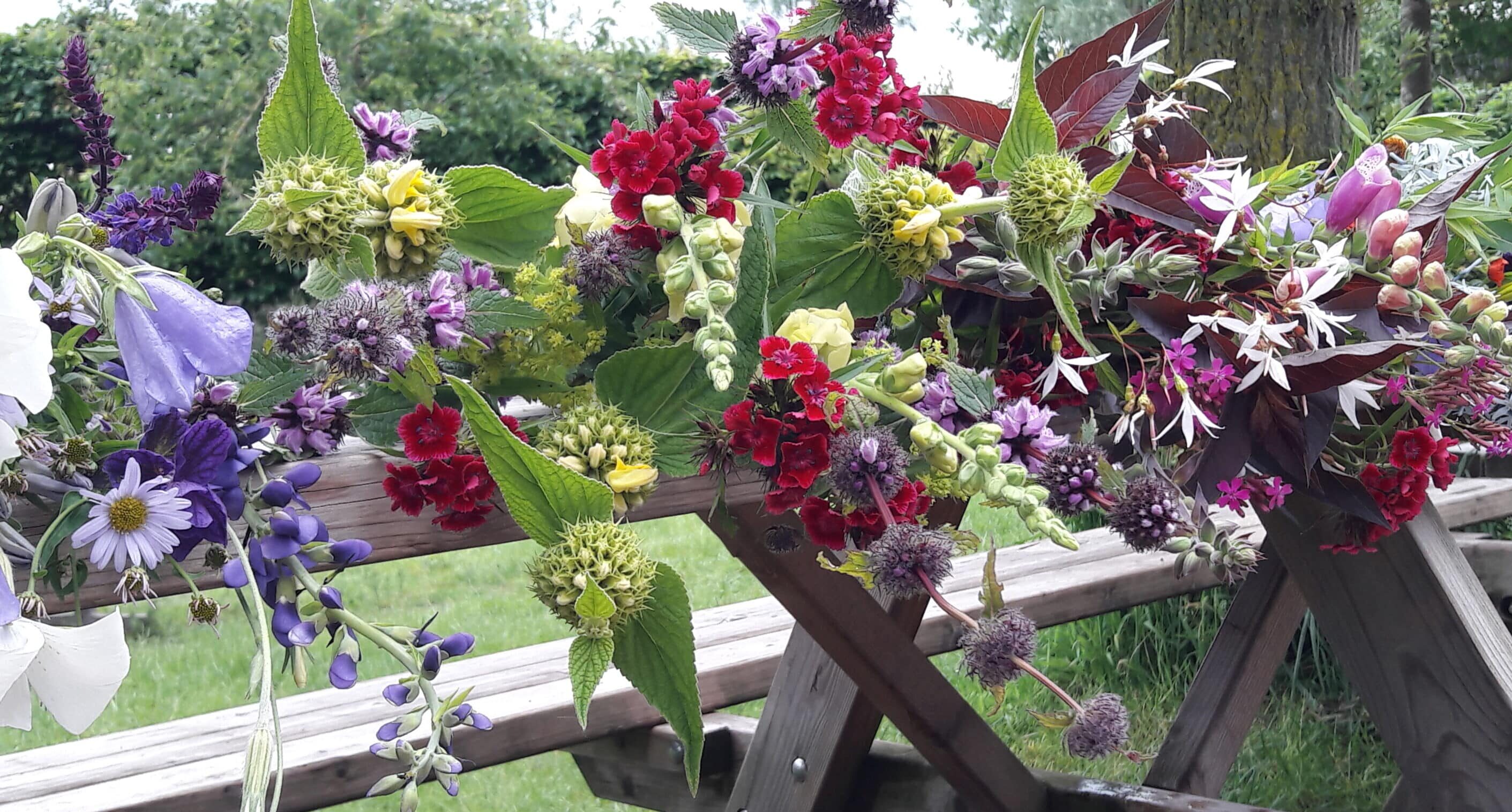 2024 vroege zomerbossen op tafel